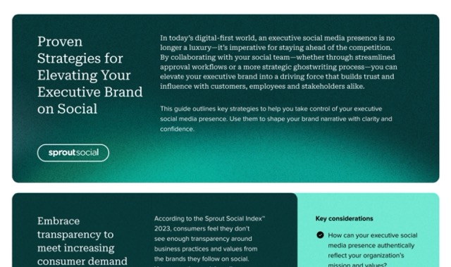 A preview of the executive social media strategy cheat sheet PDF.