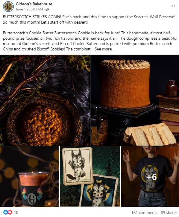 Facebook photo post example