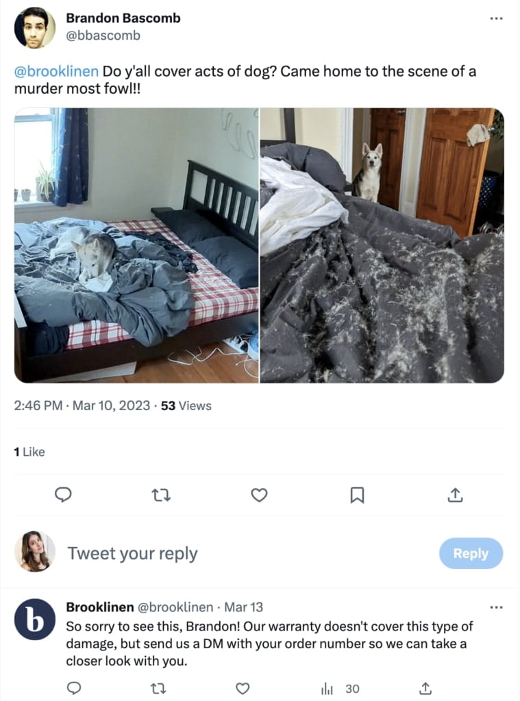 A Tweet from a brooklinen customer showing torn-up bedsheets and a very guilty looking dog sitting on them. The customer asks, "Brooklinen, do y'all cover acts of dog? Came home to the scene of a murder most fowl!" And brooklinen responds, "So sorry to see this, Brandon! Our warranty doesn't cover this type of damage, but send us a DM with your order number so we can take a closer look with you."
