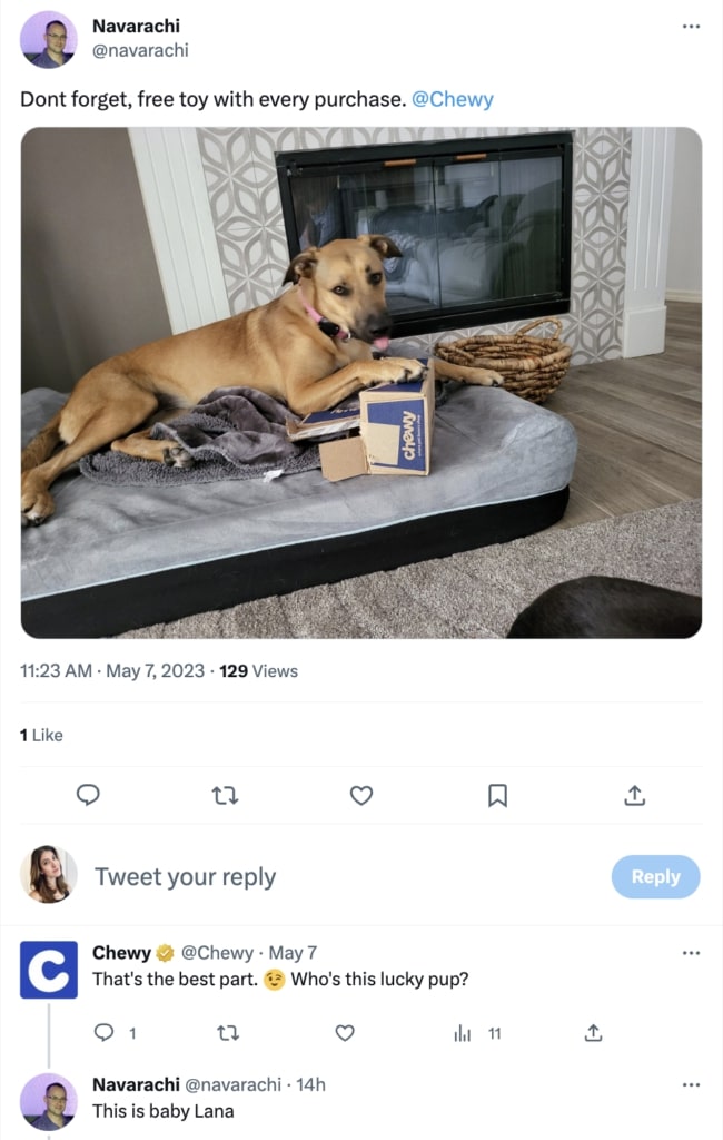 A screenshot of a Twitter conversation between a Chewy customer and Chewy. The brand asks the customer about their pet, continuing the social conversation beyond a typical response.