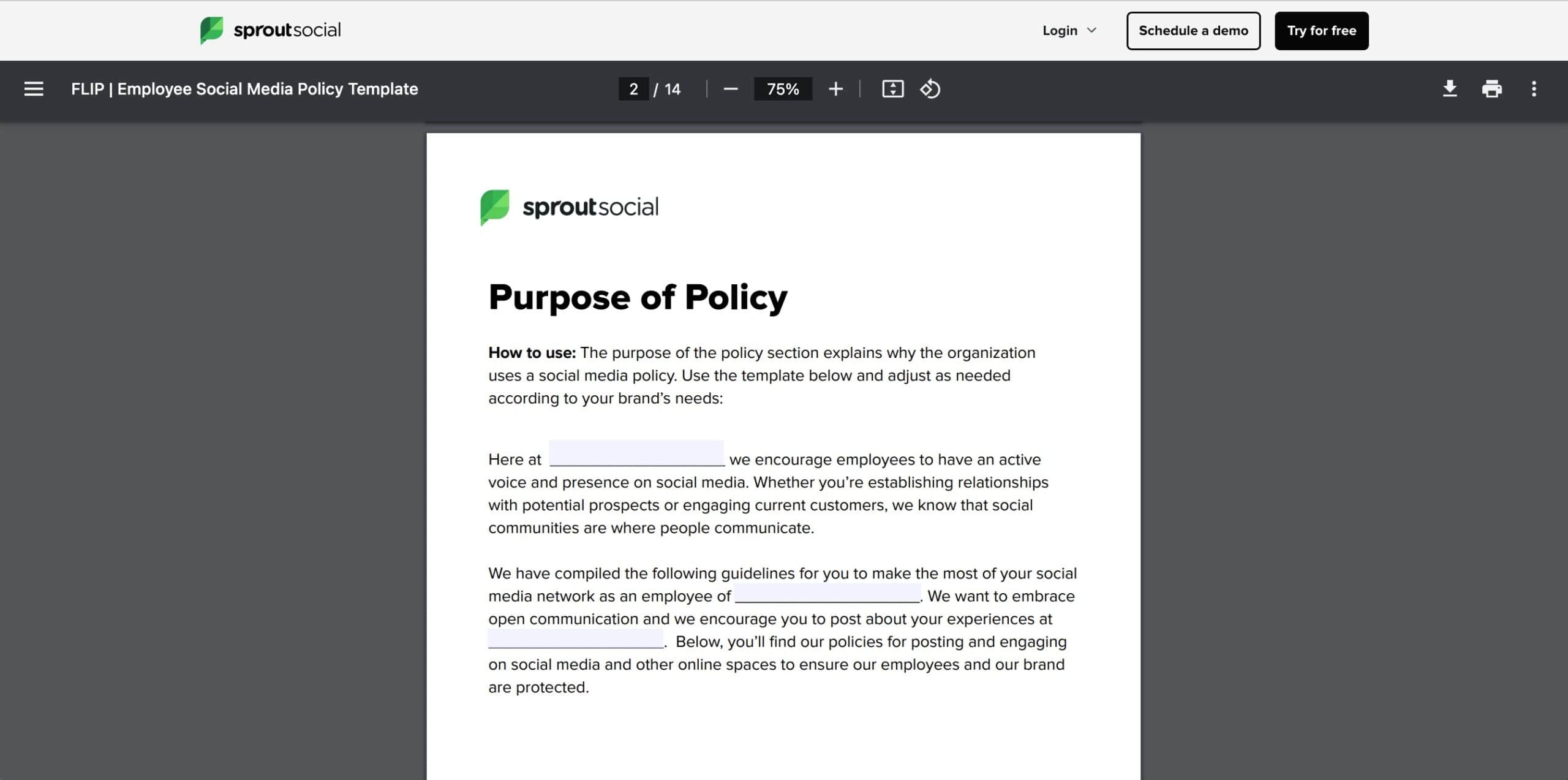 The social media policy template PDF.