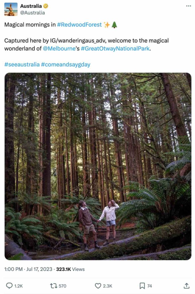 Photo of Melbourne’s Great Otway National Park reposted to X by Tourism Australia with credit to @WanderingAus_Adv on Instagram.