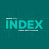 Report cover art of repeating “Index” word mark.
